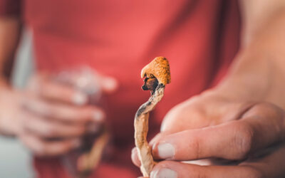 The Complete Guide to Consuming Magic Mushrooms