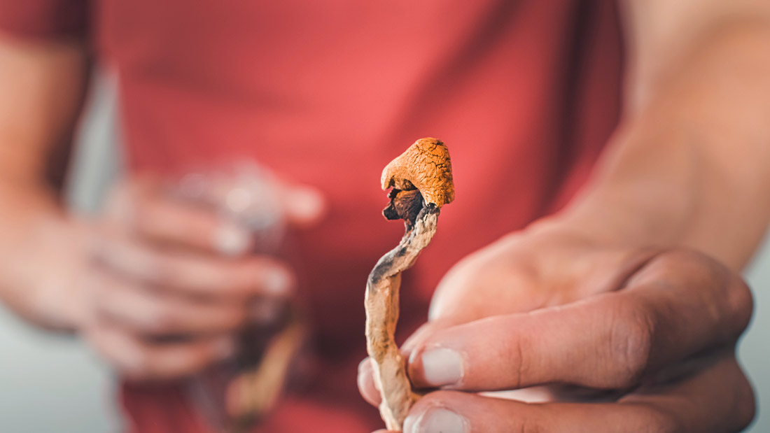 How to consume magic mushrooms