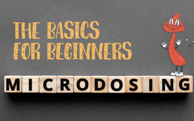 Microdosing Mushrooms: The Basics for Beginners